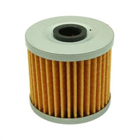 AEM HIGH VOLUME FUEL FILTER ELEMENT (REPLACEMENT) FOR 25-200BK