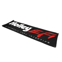 Holley EFI Banner
