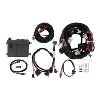 Holley EFI HP EFI ECU & Harness Kits