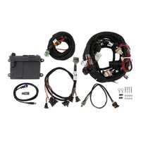 Holley EFI HP EFI ECU & Harness Kits
