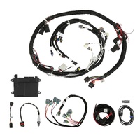 Holley EFI HP EFI ECU & Harness Kits