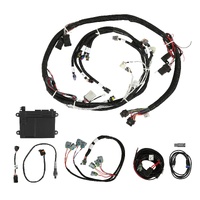 Holley EFI HP EFI ECU & Harness Kits