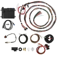 Holley EFI HP EFI ECU & Harness Kits