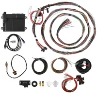 Holley EFI HP EFI ECU & Harness Kits