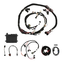 Holley EFI HP EFI ECU & Harness Kits