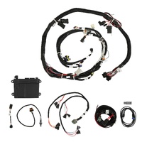 Holley EFI HP EFI ECU & Harness Kits
