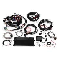 Holley EFI Terminator LS MPFI Kit