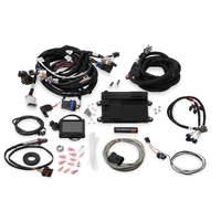 Holley EFI Terminator LS MPFI Kit