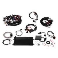 Holley EFI Terminator LS MPFI Kit