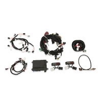 Holley EFI HP EFI ECU and Harness Kits