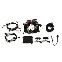 Holley EFI HP EFI ECU and Harness Kits