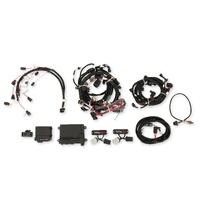 Holley EFI 2013-2015.5 Ford Coyote Ti-VCT HP EFI Kit, NTK O2, USCAR INJ