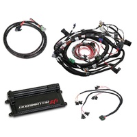 Holley EFI Dominator EFI Kit - Ford - COP Main Harness With Coil on Plug Main and Sub Harness with EV1 Injector Harness