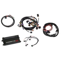 Holley EFI Dominator EFI Kit - LS1 Main Harness w/ Trans Control with EV1 Injector Harness