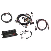 Holley EFI Dominator EFI Kit - LS1 Main Harness w/ Trans and DBW with EV1 Injector Harness
