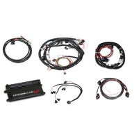 Holley EFI Dominator EFI Kit - LS2 Main Harness w/ Trans and DBW with EV1 Injector Harness