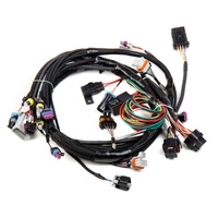 Holley EFI LS1/6 (24x/1x) Engine Main Harness