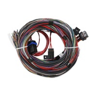 Holley EFI Unterminated Universal Main Harness