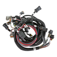 Holley EFI Ford 2V and 4V Modular Main Harness