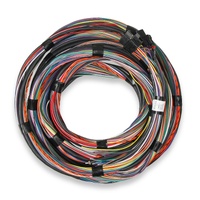 Holley EFI Unterminated 15' Flying Lead Main Harness