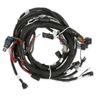 Holley EFI Gen V LT Engine Main Harness