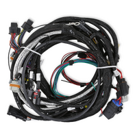 Holley EFI LT4 Engine Main Harness