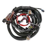 Holley EFI LS1/6 (24x/1x) Engine Main Harness - Extended Length