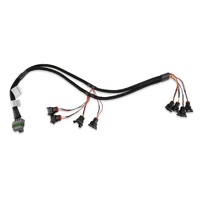 Holley EFI V8 over Manifold, Bosch Style Injector Harness