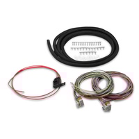 Holley EFI Universal Coil On/Near Plug Harness