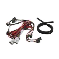 Holley EFI C-N-P Ignition Sub Harness