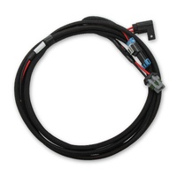 Holley EFI Main Power Harness for Coyote Ti-VCT Applications