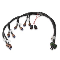 Holley EFI Ford Coyote Ti-VCT Coil Harness (2015.5-2017)