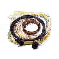 Holley EFI Dominator EFI Auxiliary Harness