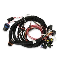 Holley EFI Terminator Main Harness
