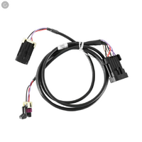 Holley EFI Crank/Cam Ign. Harness. Fully terminated harness.