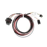 Holley EFI Pro Dash Service Harness