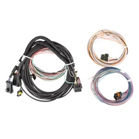 Holley EFI Pro Dash Standalone Service Harness