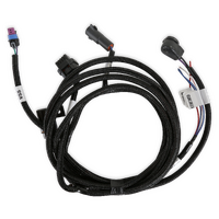 Holley EFI Transmission Harness - TKO