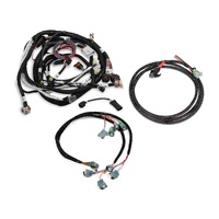 Holley EFI GM 58X EFI HARNESS KIT