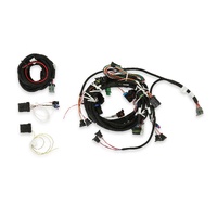 Holley EFI GM TPI and Stealth Ram EFI Harness Kit