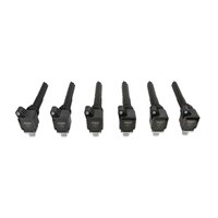 MSD Coils,Blk,Ford ECOBoost 3.5L V6, 2017 Up