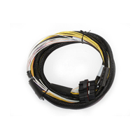 Haltech HPI6 - High Power Igniter - 2m Flying Lead Kit Loom Only