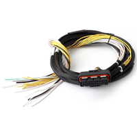 Haltech HPI8 - High Power Igniter - 2m Flying Lead Loom Only