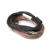 Haltech IO 12 Expander Box - 2.5m/8ft Flying Lead Harness Only