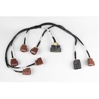 Haltech Elite 2000/2500 Twin CAM RB30/26/25/20 External Factory Niss