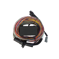 Haltech Elite 550 Premium Universal Wire-in Harness 2.5m (8)