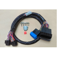 Haltech Elite 1500 PnP Adap Harn ECU Only - Polaris Slingshot