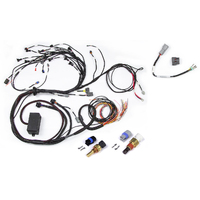 Haltech RB Twin CAM Main Harness, CAS Breakout, No Ignition Breakout