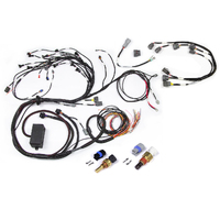 Haltech RB Twin CAM Main Harness, CAS Breakout, Late Ignition