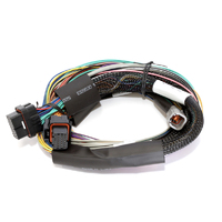 Haltech Elite 2500 - 2.5m (8 ft) Basic Uni Wire-in Harness Only